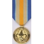 Anodized Inherent Resolve Campaign Medal